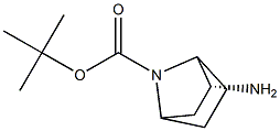 2R-2-Amino-7-aza-bicyclo[2.2.1]heptane-7-carboxylic acid tert-butyl ester Struktur