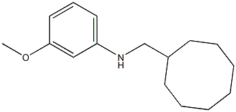 N-(cyclooctylmethyl)-3-methoxybenzenamine Struktur