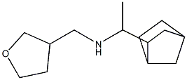 (1-{bicyclo[2.2.1]heptan-2-yl}ethyl)(oxolan-3-ylmethyl)amine Struktur