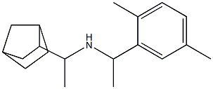 (1-{bicyclo[2.2.1]heptan-2-yl}ethyl)[1-(2,5-dimethylphenyl)ethyl]amine Struktur