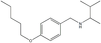 (3-methylbutan-2-yl)({[4-(pentyloxy)phenyl]methyl})amine Struktur