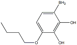 (4-butoxyphenyl)boranediol Struktur