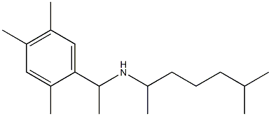 (6-methylheptan-2-yl)[1-(2,4,5-trimethylphenyl)ethyl]amine Struktur