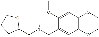 (oxolan-2-ylmethyl)[(2,4,5-trimethoxyphenyl)methyl]amine Struktur