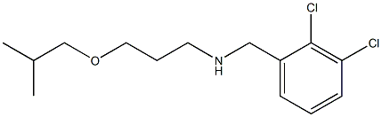 [(2,3-dichlorophenyl)methyl][3-(2-methylpropoxy)propyl]amine Struktur