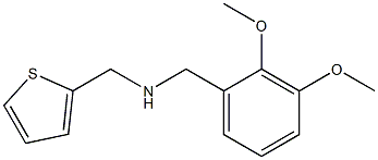 [(2,3-dimethoxyphenyl)methyl](thiophen-2-ylmethyl)amine Struktur