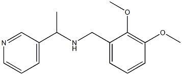 [(2,3-dimethoxyphenyl)methyl][1-(pyridin-3-yl)ethyl]amine Struktur