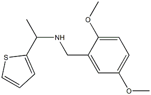 [(2,5-dimethoxyphenyl)methyl][1-(thiophen-2-yl)ethyl]amine Struktur