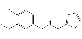 [(3,4-dimethoxyphenyl)methyl][1-(furan-2-yl)ethyl]amine Struktur