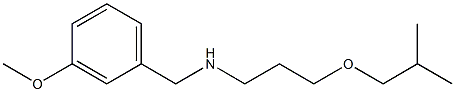 [(3-methoxyphenyl)methyl][3-(2-methylpropoxy)propyl]amine Struktur