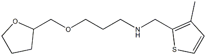 [(3-methylthiophen-2-yl)methyl][3-(oxolan-2-ylmethoxy)propyl]amine Struktur