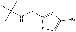 [(4-bromothiophen-2-yl)methyl](tert-butyl)amine Struktur