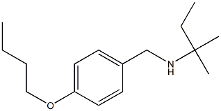 [(4-butoxyphenyl)methyl](2-methylbutan-2-yl)amine Struktur