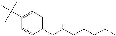 [(4-tert-butylphenyl)methyl](pentyl)amine Struktur