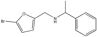 [(5-bromofuran-2-yl)methyl](1-phenylethyl)amine Struktur