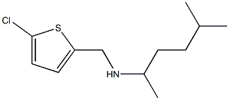 [(5-chlorothiophen-2-yl)methyl](5-methylhexan-2-yl)amine Struktur