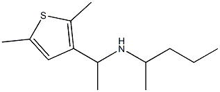 [1-(2,5-dimethylthiophen-3-yl)ethyl](pentan-2-yl)amine Struktur