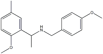 [1-(2-methoxy-5-methylphenyl)ethyl][(4-methoxyphenyl)methyl]amine Struktur