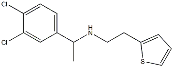 [1-(3,4-dichlorophenyl)ethyl][2-(thiophen-2-yl)ethyl]amine Struktur