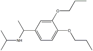 [1-(3,4-dipropoxyphenyl)ethyl](propan-2-yl)amine Struktur