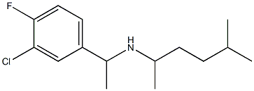 [1-(3-chloro-4-fluorophenyl)ethyl](5-methylhexan-2-yl)amine Struktur