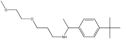 [1-(4-tert-butylphenyl)ethyl][3-(2-methoxyethoxy)propyl]amine Struktur