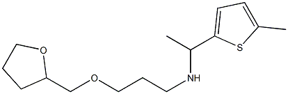 [1-(5-methylthiophen-2-yl)ethyl][3-(oxolan-2-ylmethoxy)propyl]amine Struktur