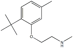 [2-(2-tert-butyl-5-methylphenoxy)ethyl](methyl)amine Struktur