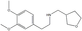 [2-(3,4-dimethoxyphenyl)ethyl](oxolan-3-ylmethyl)amine Struktur