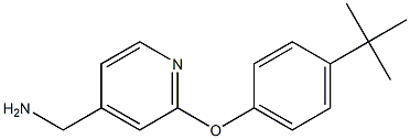 [2-(4-tert-butylphenoxy)pyridin-4-yl]methylamine Struktur