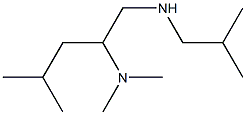 [2-(dimethylamino)-4-methylpentyl](2-methylpropyl)amine Struktur