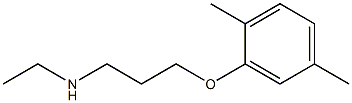 [3-(2,5-dimethylphenoxy)propyl](ethyl)amine Struktur