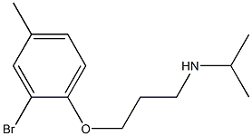 [3-(2-bromo-4-methylphenoxy)propyl](propan-2-yl)amine Struktur