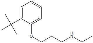 [3-(2-tert-butylphenoxy)propyl](ethyl)amine Struktur