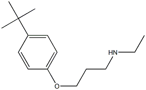 [3-(4-tert-butylphenoxy)propyl](ethyl)amine Struktur