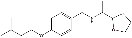 {[4-(3-methylbutoxy)phenyl]methyl}[1-(oxolan-2-yl)ethyl]amine Struktur