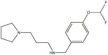 {[4-(difluoromethoxy)phenyl]methyl}[3-(pyrrolidin-1-yl)propyl]amine Struktur