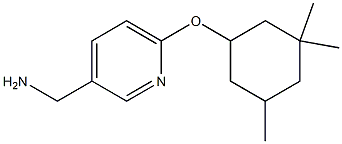 {6-[(3,3,5-trimethylcyclohexyl)oxy]pyridin-3-yl}methanamine Struktur