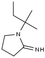 1-(2-methylbutan-2-yl)pyrrolidin-2-imine Struktur