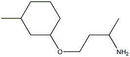 1-(3-aminobutoxy)-3-methylcyclohexane Struktur