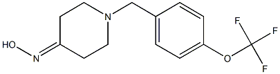 1-[4-(trifluoromethoxy)benzyl]piperidin-4-one oxime Struktur