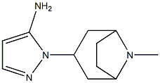 1-{8-methyl-8-azabicyclo[3.2.1]octan-3-yl}-1H-pyrazol-5-amine Struktur