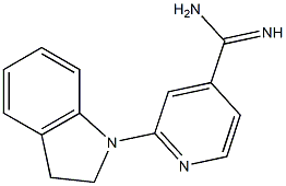 2-(2,3-dihydro-1H-indol-1-yl)pyridine-4-carboximidamide Struktur