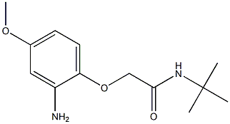 2-(2-amino-4-methoxyphenoxy)-N-(tert-butyl)acetamide Struktur