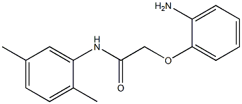 2-(2-aminophenoxy)-N-(2,5-dimethylphenyl)acetamide Struktur