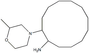 2-(2-methylmorpholin-4-yl)cyclododecan-1-amine Struktur