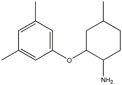 2-(3,5-dimethylphenoxy)-4-methylcyclohexan-1-amine Struktur