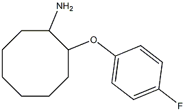 2-(4-fluorophenoxy)cyclooctan-1-amine Struktur