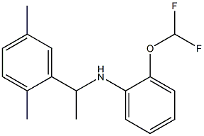 2-(difluoromethoxy)-N-[1-(2,5-dimethylphenyl)ethyl]aniline Struktur