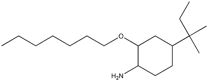 2-(heptyloxy)-4-(2-methylbutan-2-yl)cyclohexan-1-amine Struktur